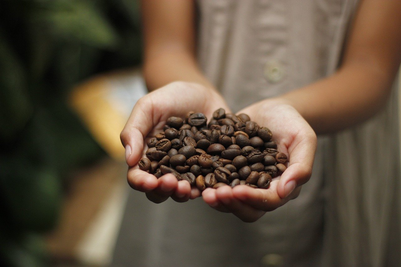 Rodzaje kawy ziarnistej – jak znaleźć ulubiony smak?